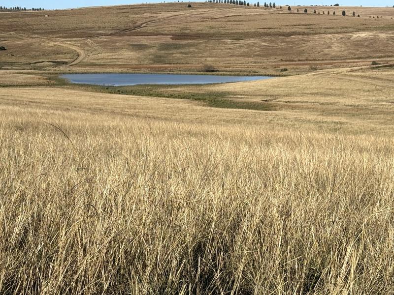0 Bedroom Property for Sale in Harrismith Free State